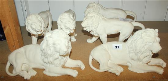 6 composition models of lions